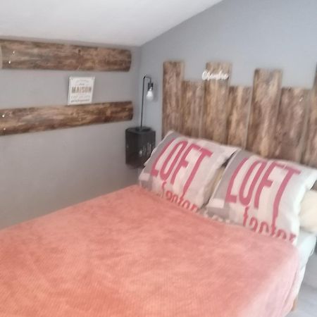Appartamento Chambre 23M2 Avec Jardin Wi-Fi Gratuit Saint-Girons Esterno foto