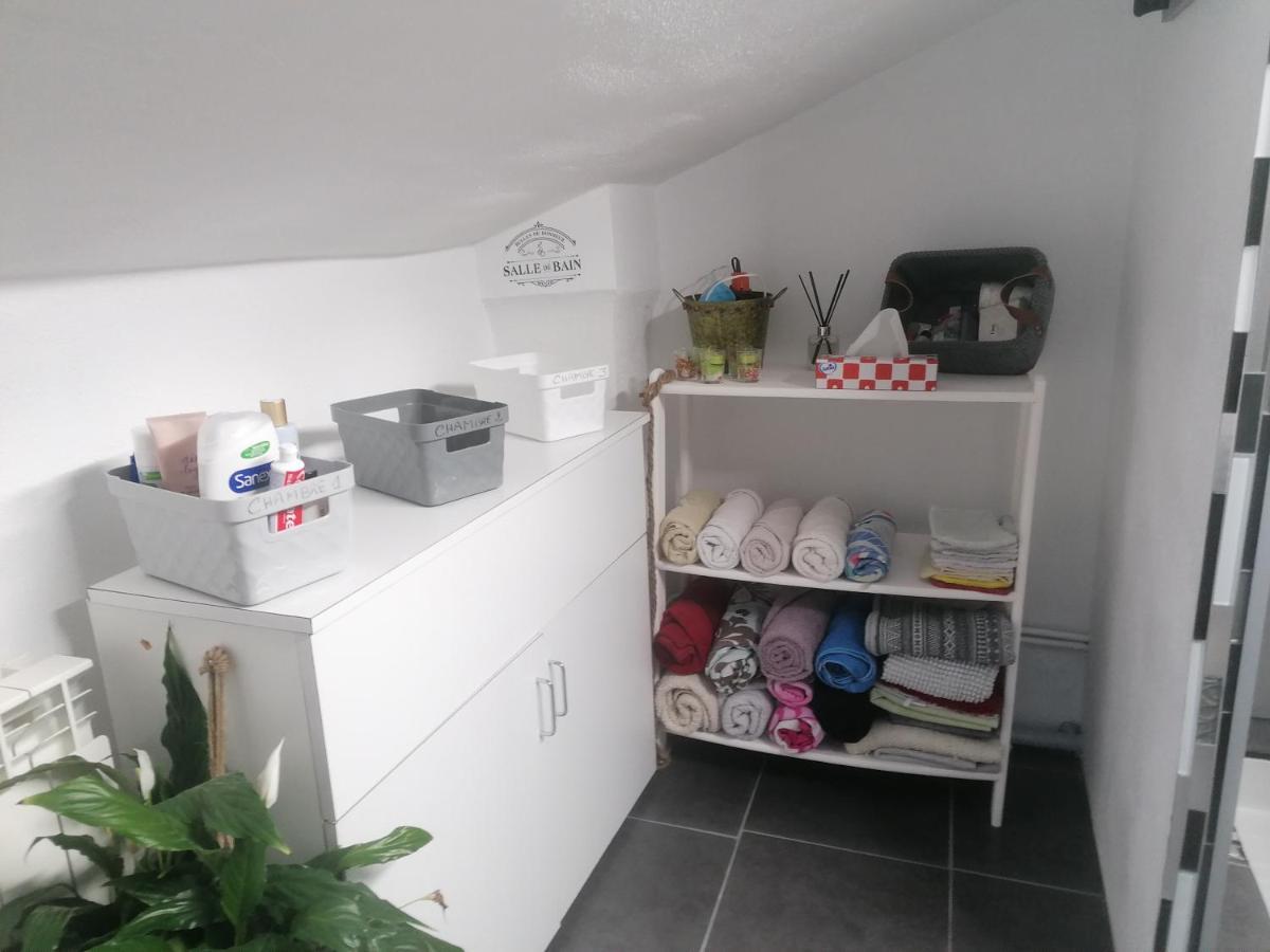 Appartamento Chambre 23M2 Avec Jardin Wi-Fi Gratuit Saint-Girons Esterno foto