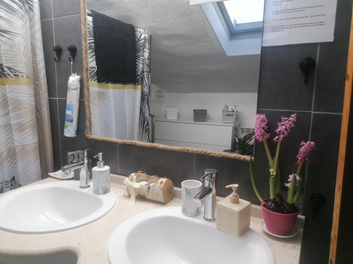 Appartamento Chambre 23M2 Avec Jardin Wi-Fi Gratuit Saint-Girons Esterno foto