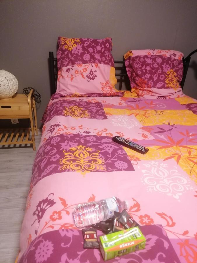 Appartamento Chambre 23M2 Avec Jardin Wi-Fi Gratuit Saint-Girons Esterno foto