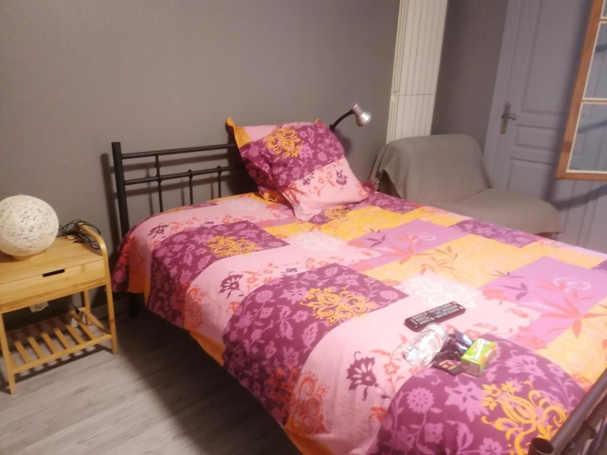 Appartamento Chambre 23M2 Avec Jardin Wi-Fi Gratuit Saint-Girons Esterno foto